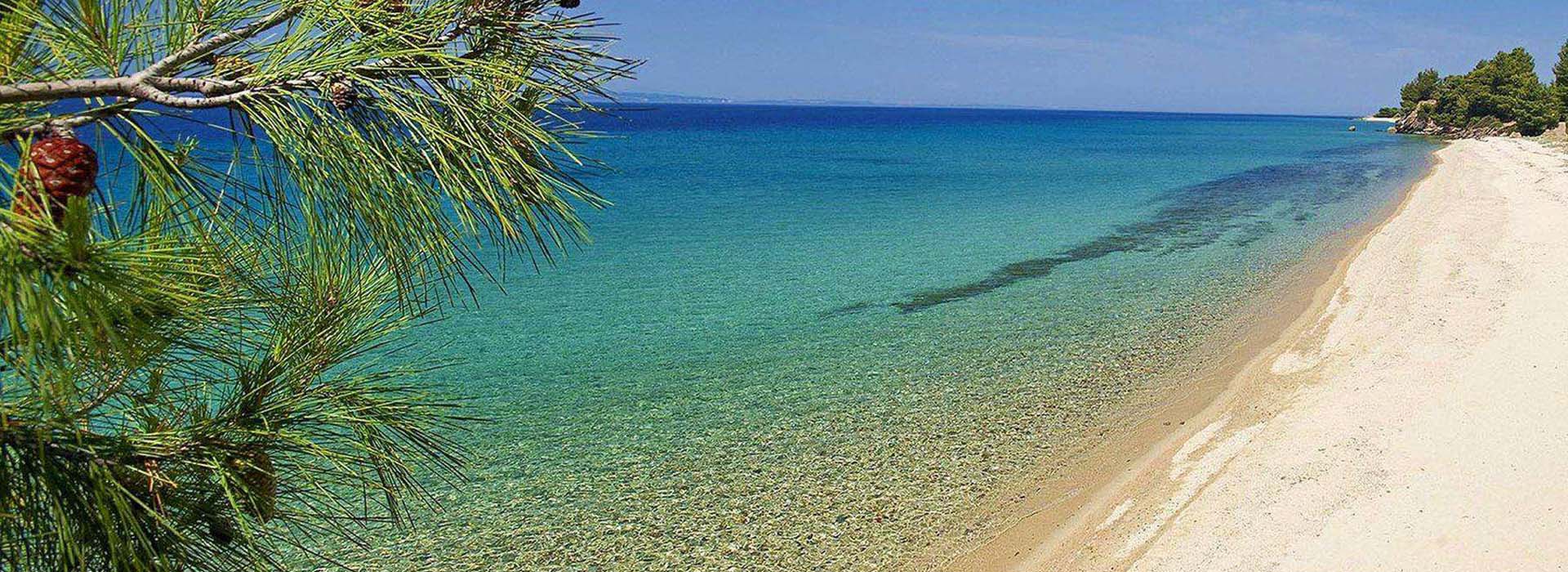 παλιουρι χαλκιδικη - Terra Olivia Luxury Villas & Suites